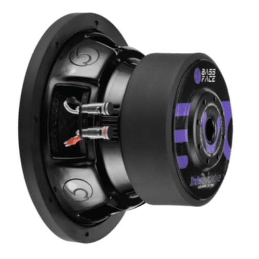 Subwoofer 25 cm IndyEVO10/2 1250 W rms 2+2 OHM - immagine 5