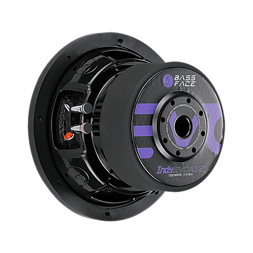 Subwoofer 25 cm IndyEVO10/2 1250 W rms 2+2 OHM - immagine 6