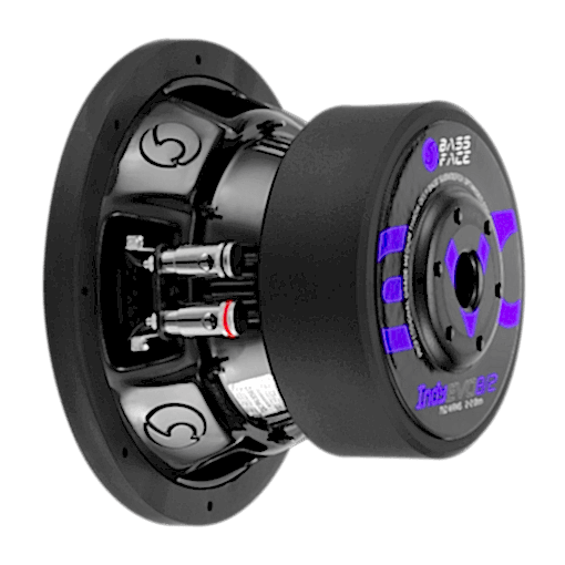 Subwoofer 20 cm IndyEVO8/2 750 W rms 2+2 OHM - immagine 4