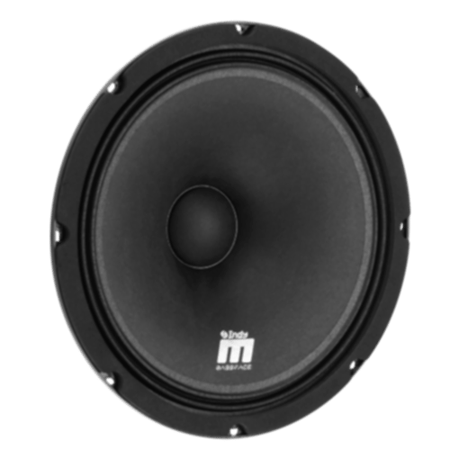 IndyM10/4 - Midrange 25 cm 10" 250 w rms 4 ohm Wide Range - 1 Pz - immagine 2