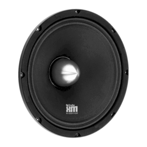 IndyXM10/4 - Coppia Midrange 25 cm 4 ohm 320 w rms High Spl Competition - PAIR - immagine 3