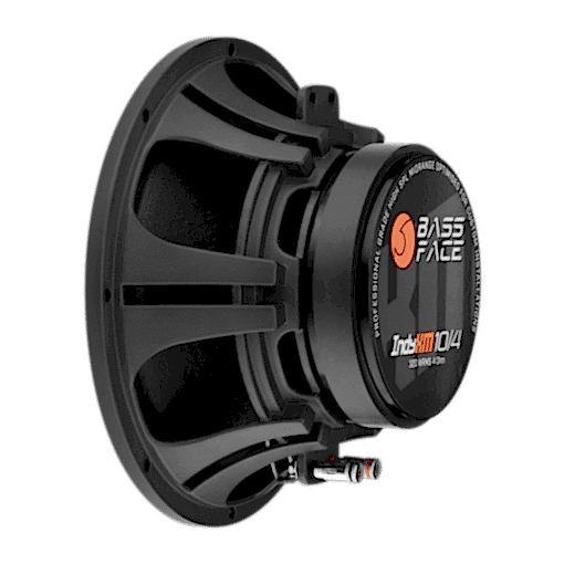 IndyXM10/4 - Coppia Midrange 25 cm 4 ohm 320 w rms High Spl Competition - PAIR - immagine 4