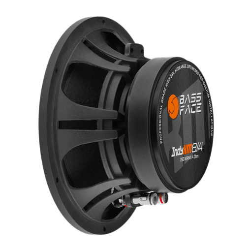 IndyXM8/4 - Coppia Midrange 20 cm 280 w rms High Spl Competition - PAIR - immagine 5