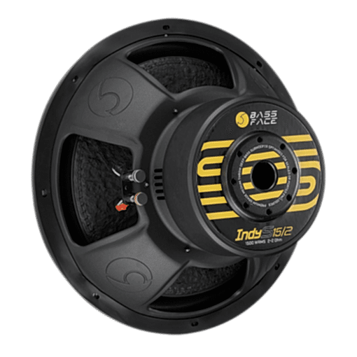 Subwoofer 38 cm IndyS15/2 1500 w rms 2+2 OHM - immagine 5